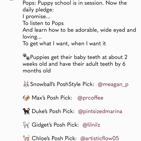 I’m Chloe’s Pick in The Secret Life of Pets Game! - Picture 2 of 6